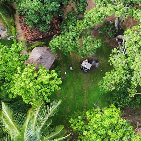 Eco Village Kalundewa Dambulla Zewnętrze zdjęcie