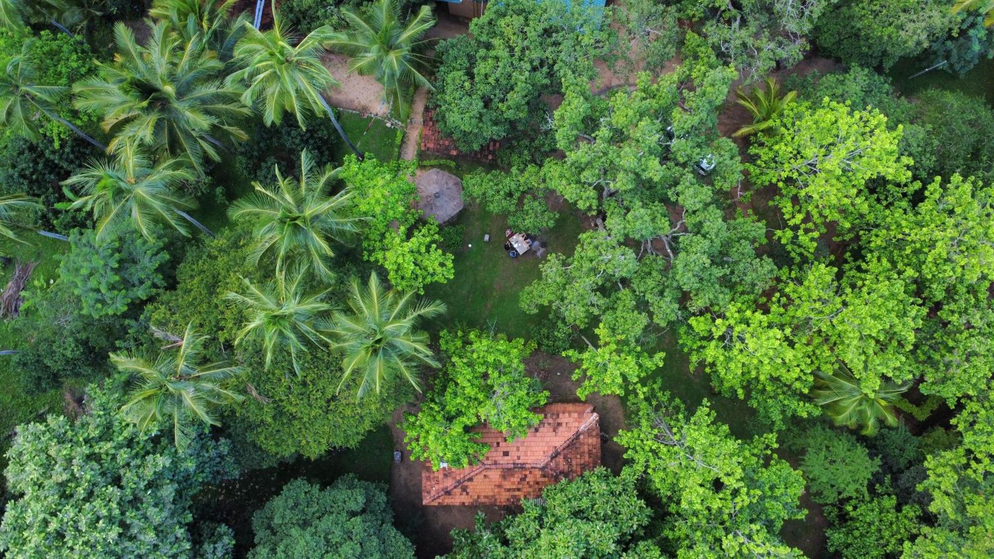 Eco Village Kalundewa Dambulla Zewnętrze zdjęcie
