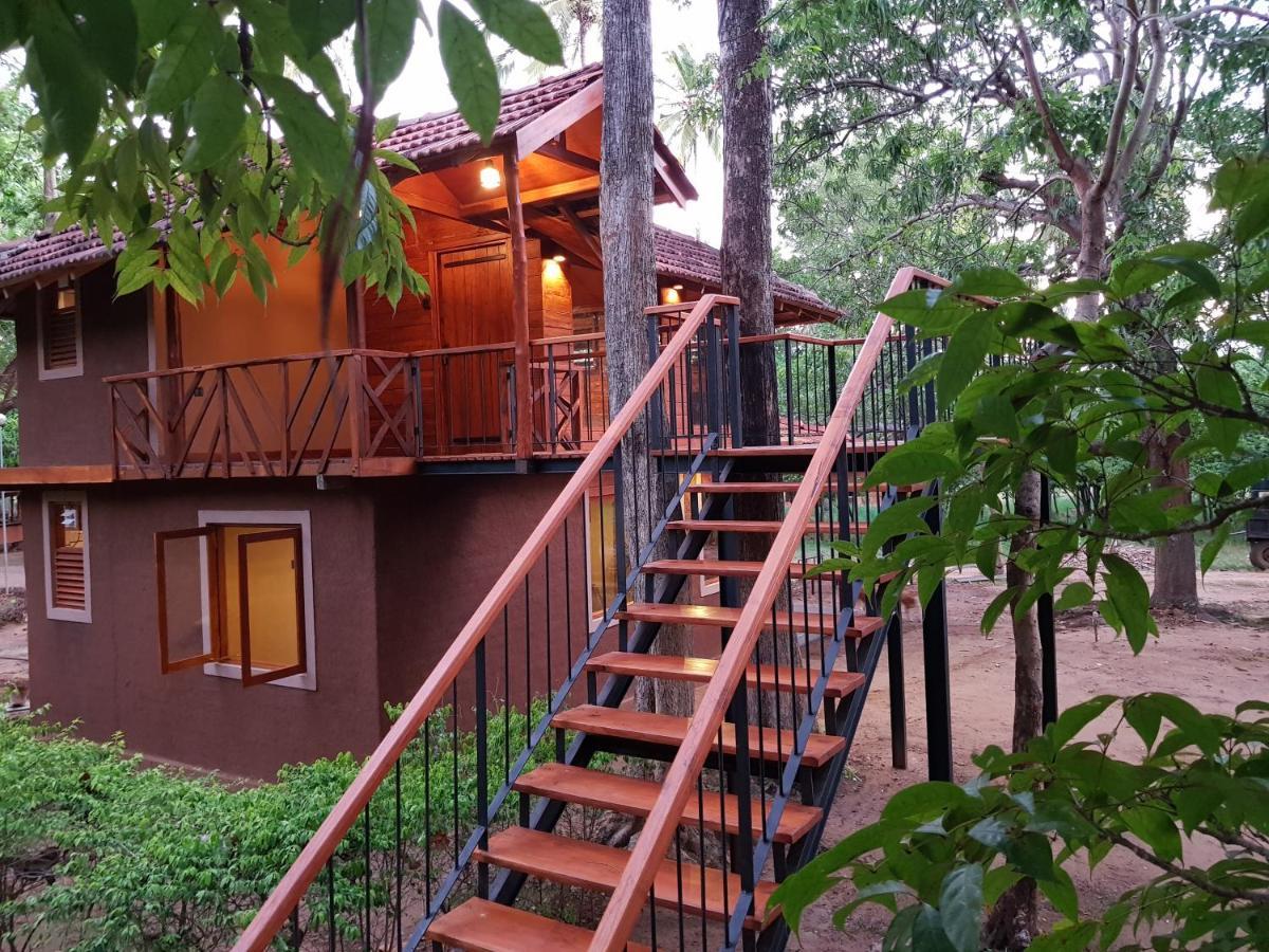 Eco Village Kalundewa Dambulla Zewnętrze zdjęcie
