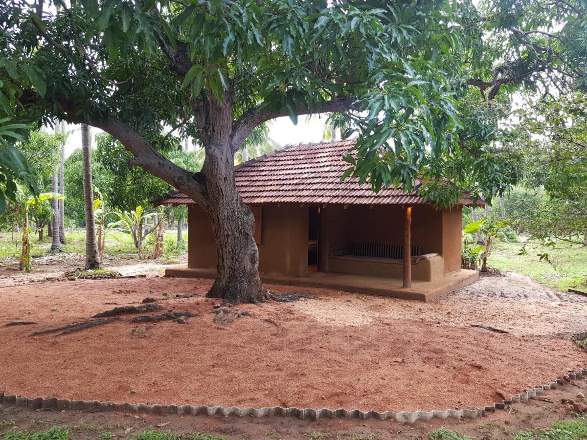 Eco Village Kalundewa Dambulla Zewnętrze zdjęcie