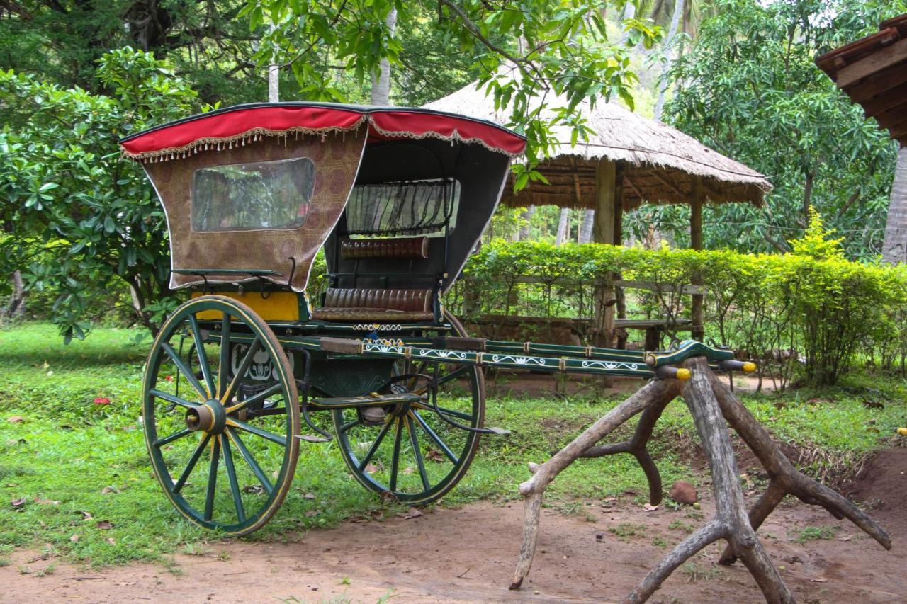 Eco Village Kalundewa Dambulla Zewnętrze zdjęcie