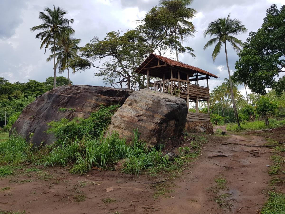 Eco Village Kalundewa Dambulla Zewnętrze zdjęcie