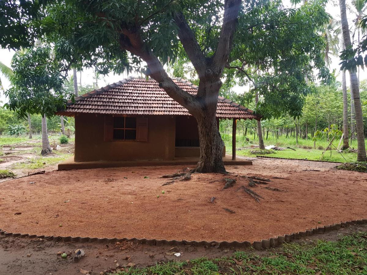 Eco Village Kalundewa Dambulla Zewnętrze zdjęcie