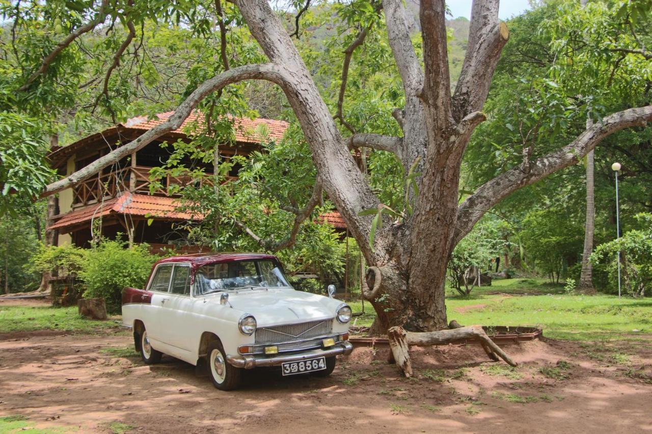 Eco Village Kalundewa Dambulla Zewnętrze zdjęcie