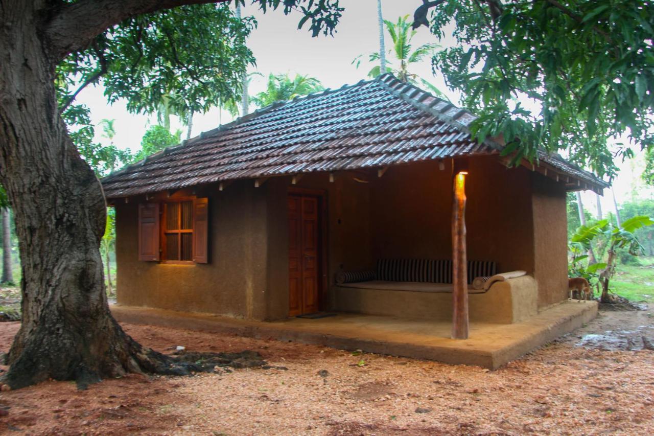 Eco Village Kalundewa Dambulla Zewnętrze zdjęcie
